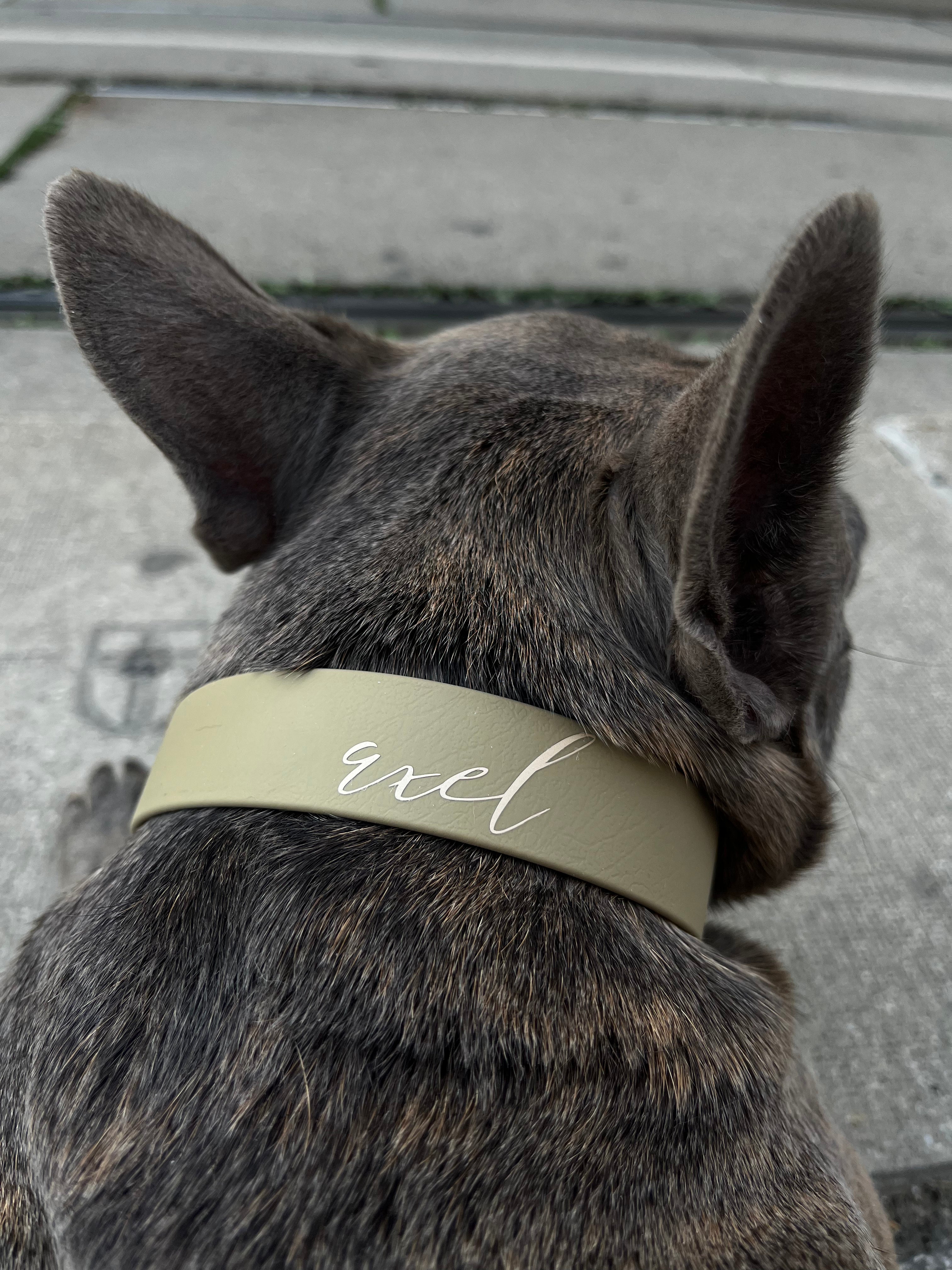 Personalized Dog Collar, Leather Dog Collar With Name, Engraved Dog Collars,  Custom Dog Collar, Dog Collar With Name Plate -  Sweden