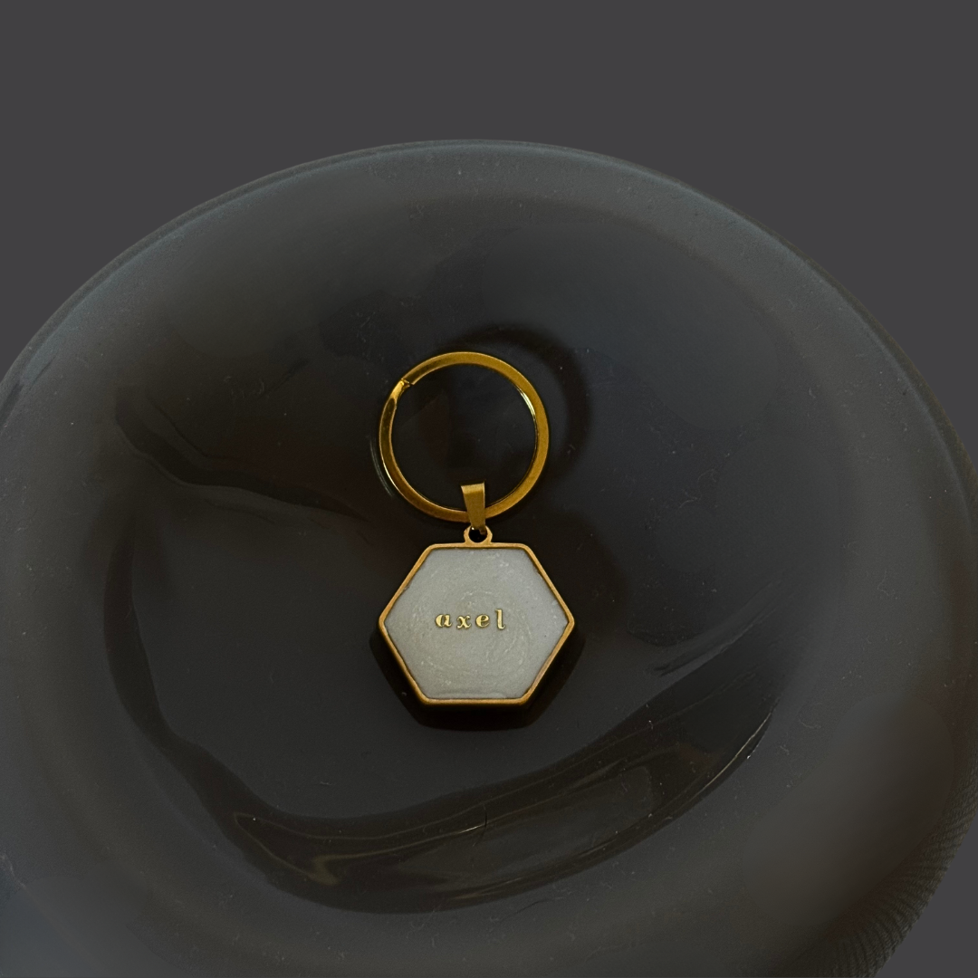 NEW Dog Tag "Ivory Glow"