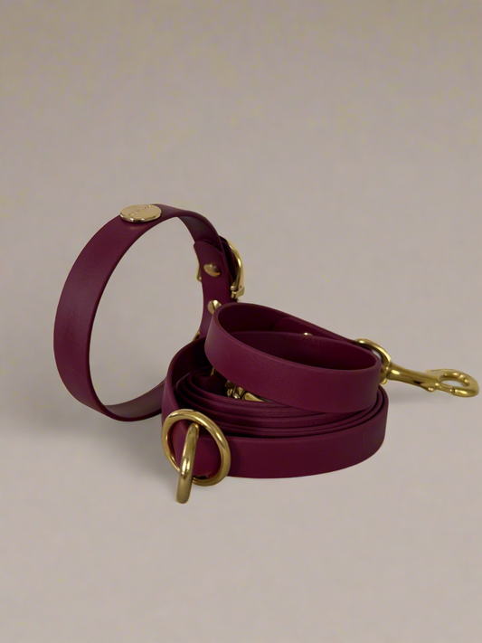 Dark Cherry Multi-Functional Leash and Collar Bundle