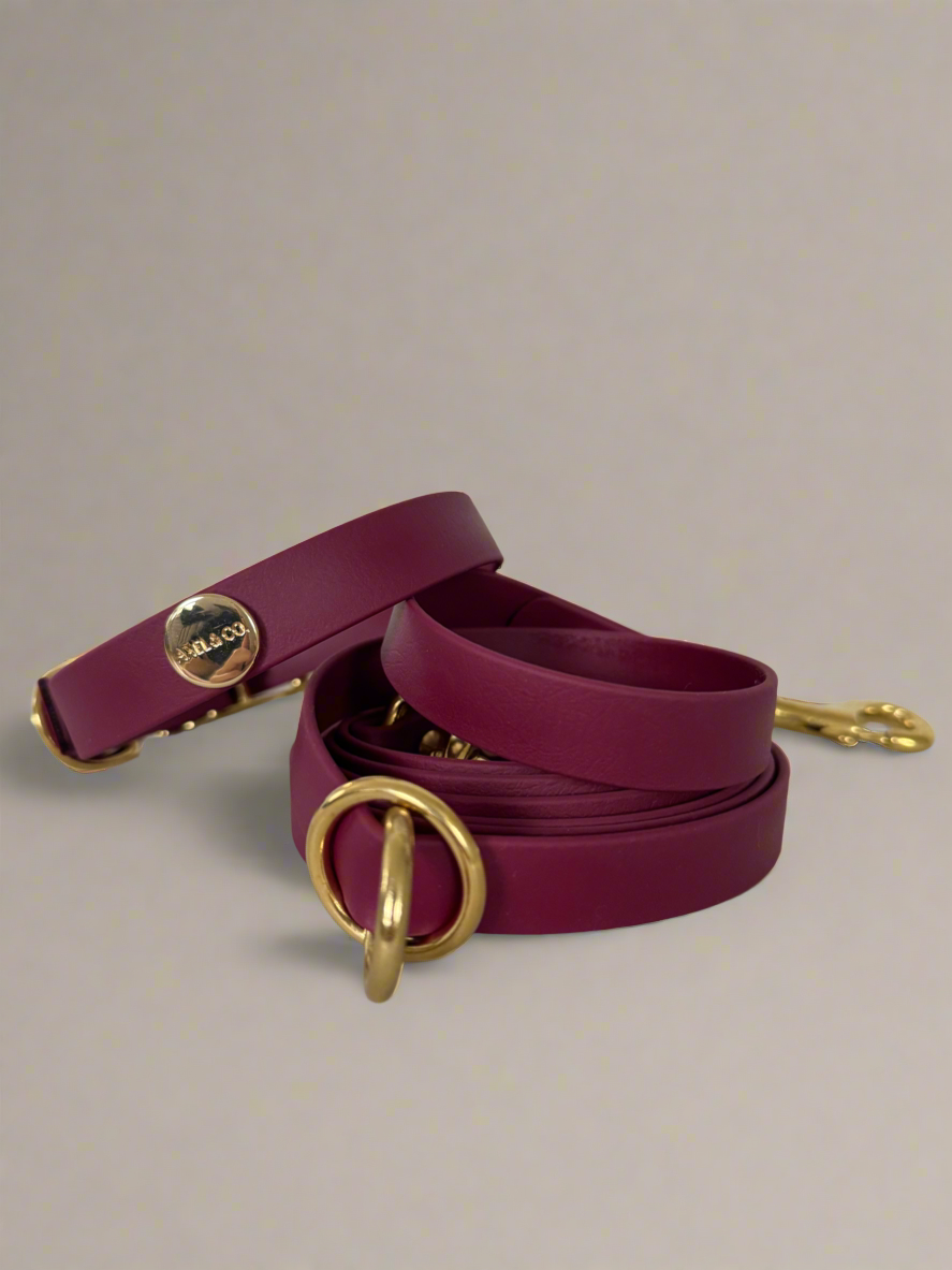 Dark Cherry Multi-Functional Leash and Collar Bundle