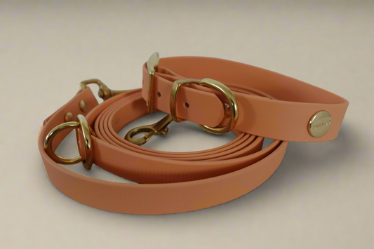 Apricot Multi-Functional Leash and Collar Bundle