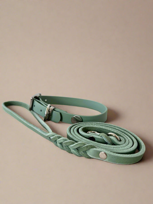 Classic Braided Leather and Biothane Collar Bundle (Sage)