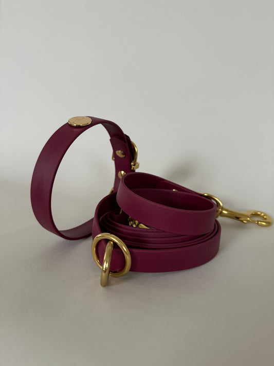 Dark Cherry Multi-Functional Leash and Collar Bundle