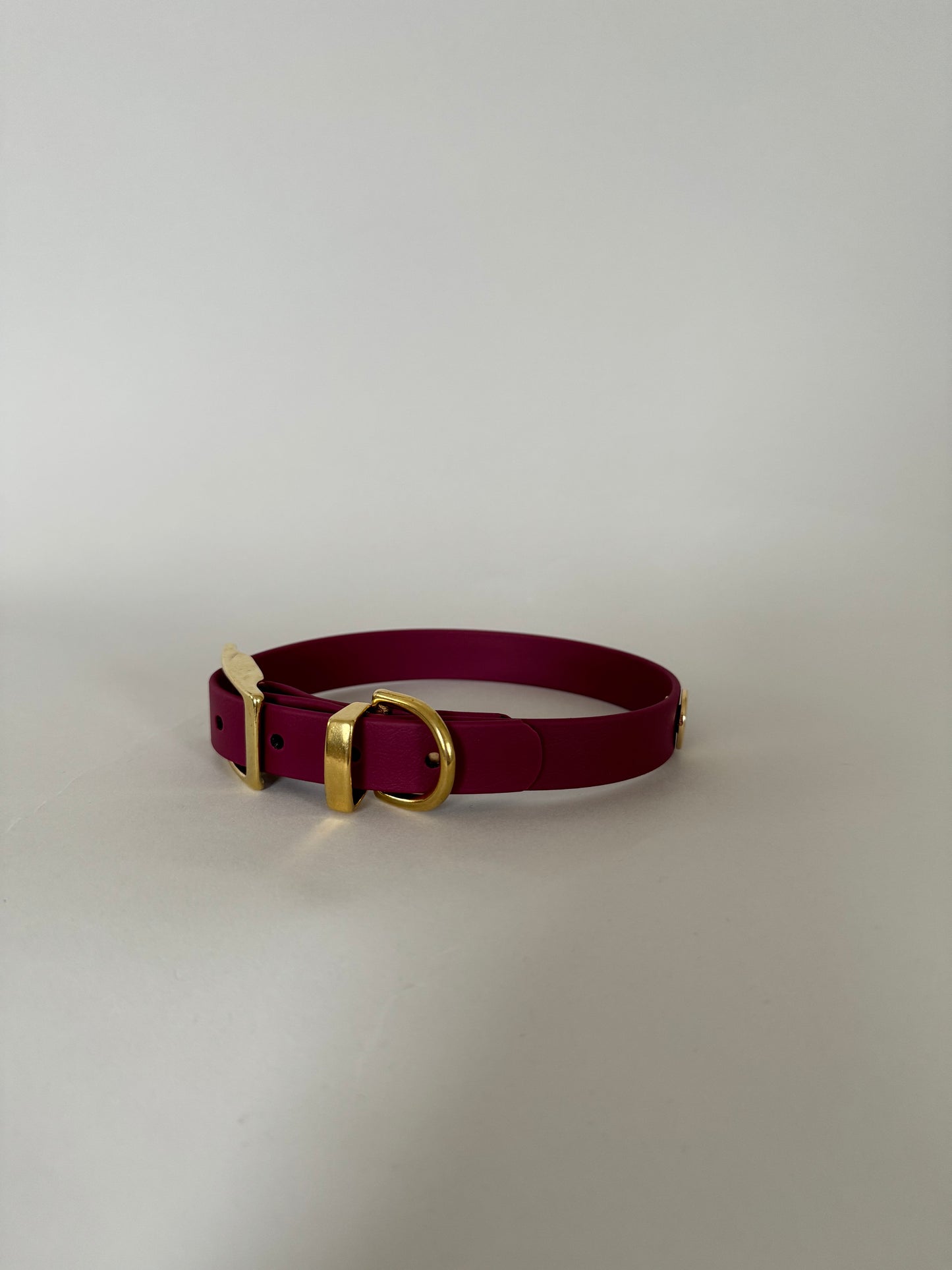 Dark Cherry Classic Collar