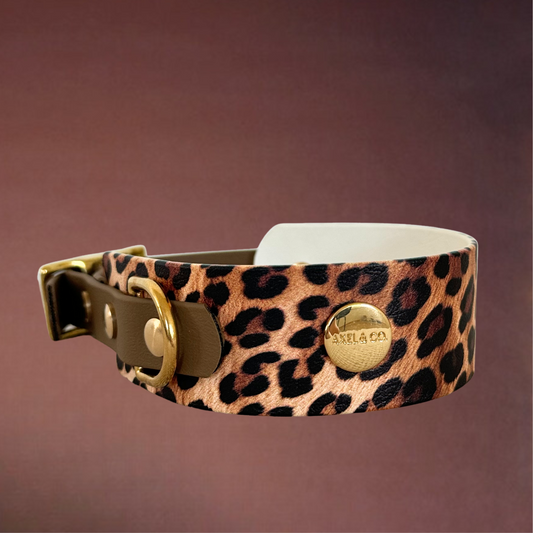 LIMITED EDITION Cheetah Hound Collar